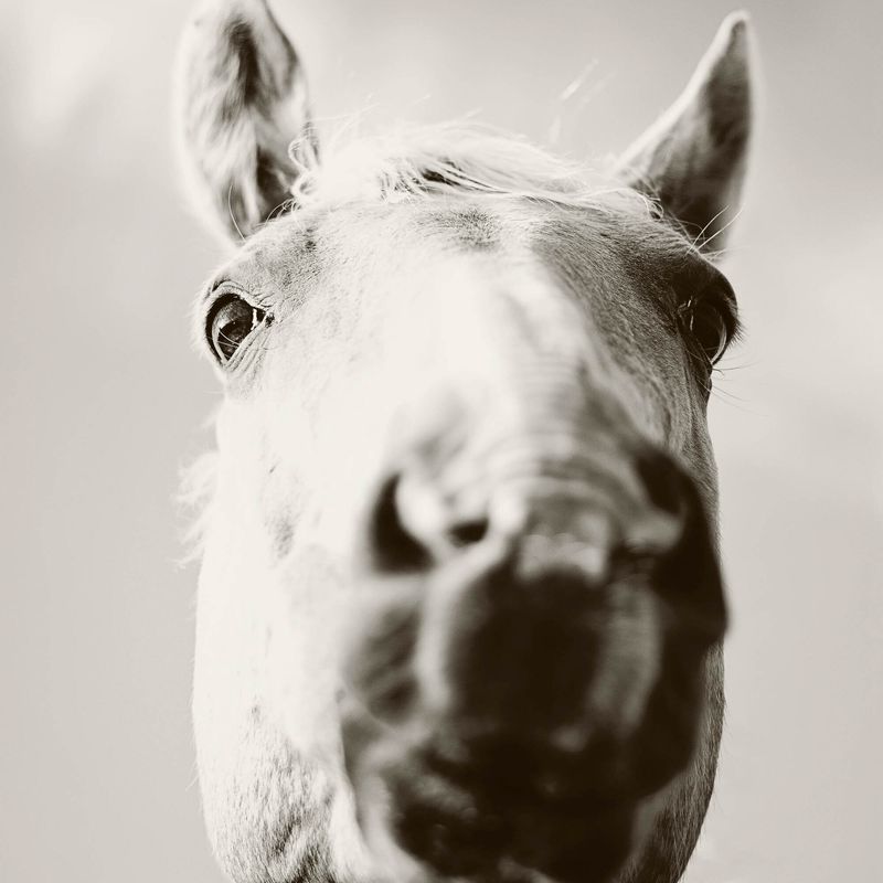 SOUTHWEST Photography Exhibit