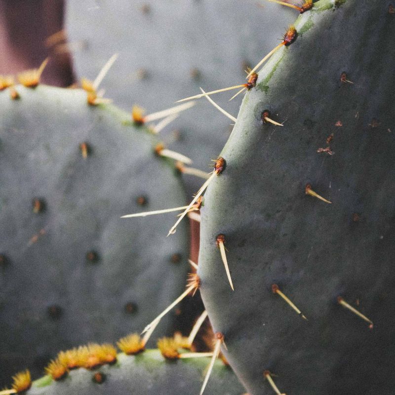 SOUTHWEST Photography Exhibit