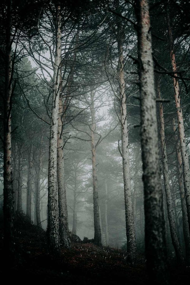 DARKNESS Photography Exhibit