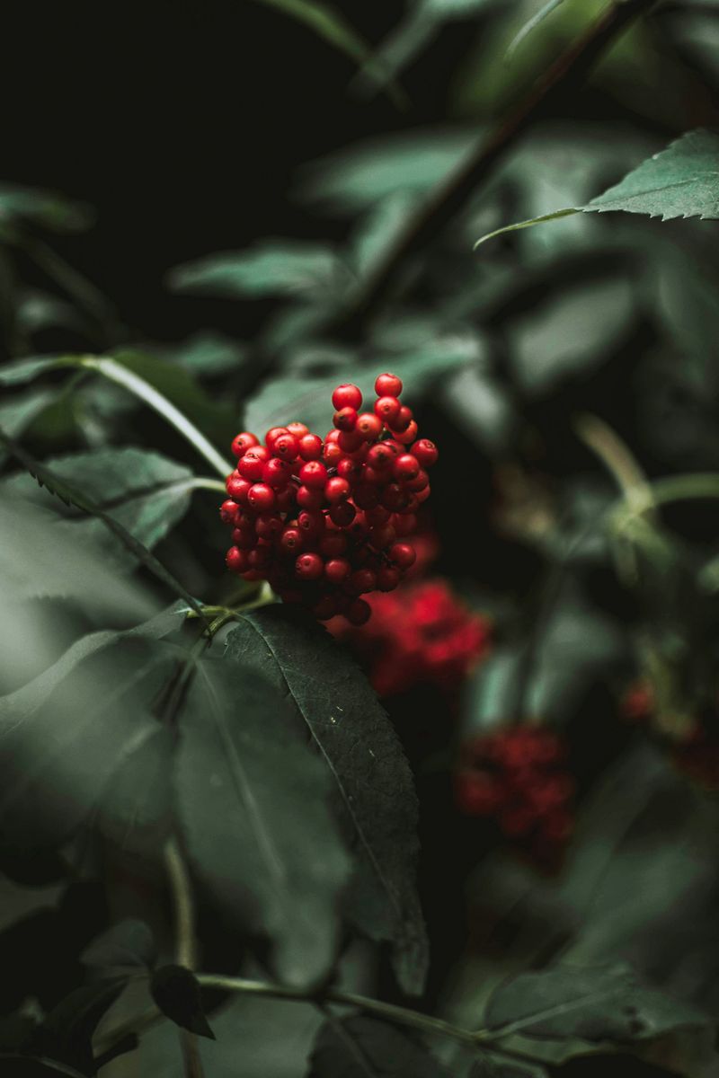 OPEN THEME Photo Exhibit