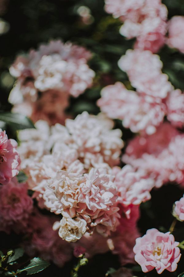 OPEN THEME Photo Exhibit