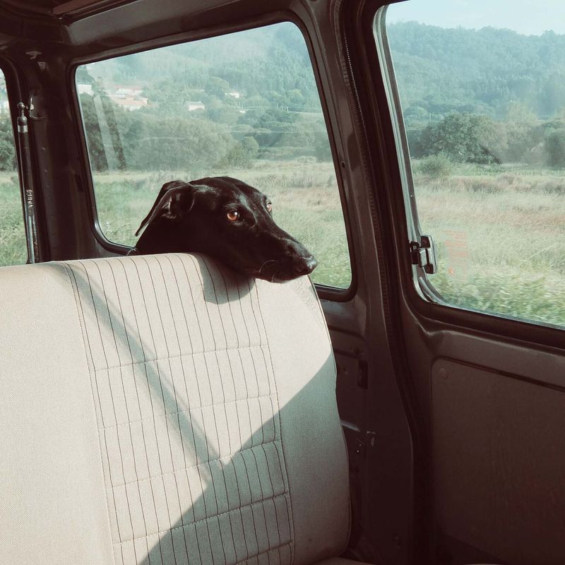 SQUARE Photography Exhibit