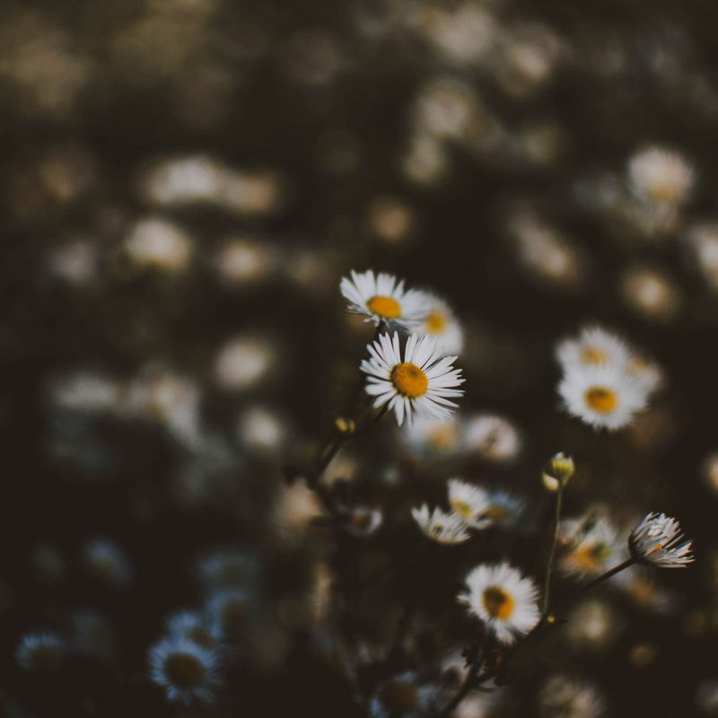 SQUARE Photography Exhibit