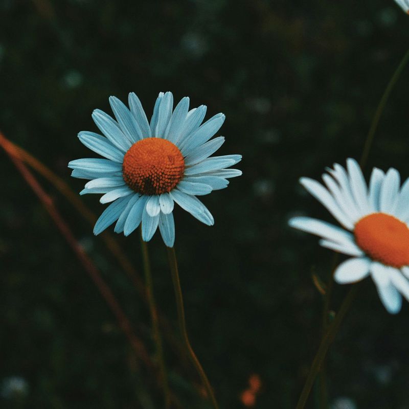 SQUARE Photography Exhibit