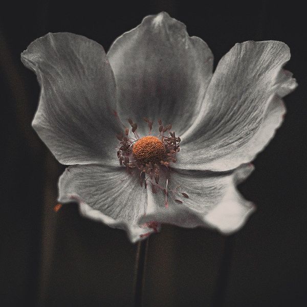 SQUARE Photography Exhibit