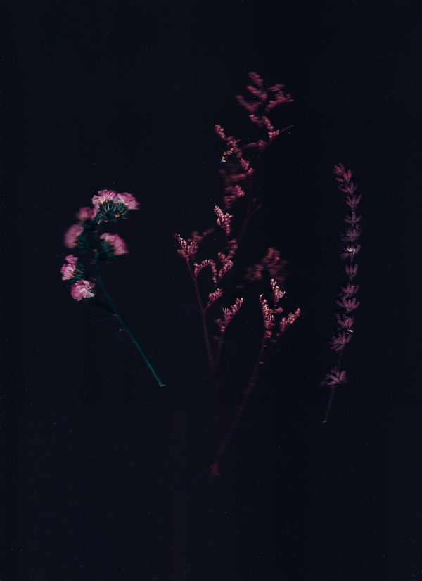 THREE ARTIST Photography Exhibition