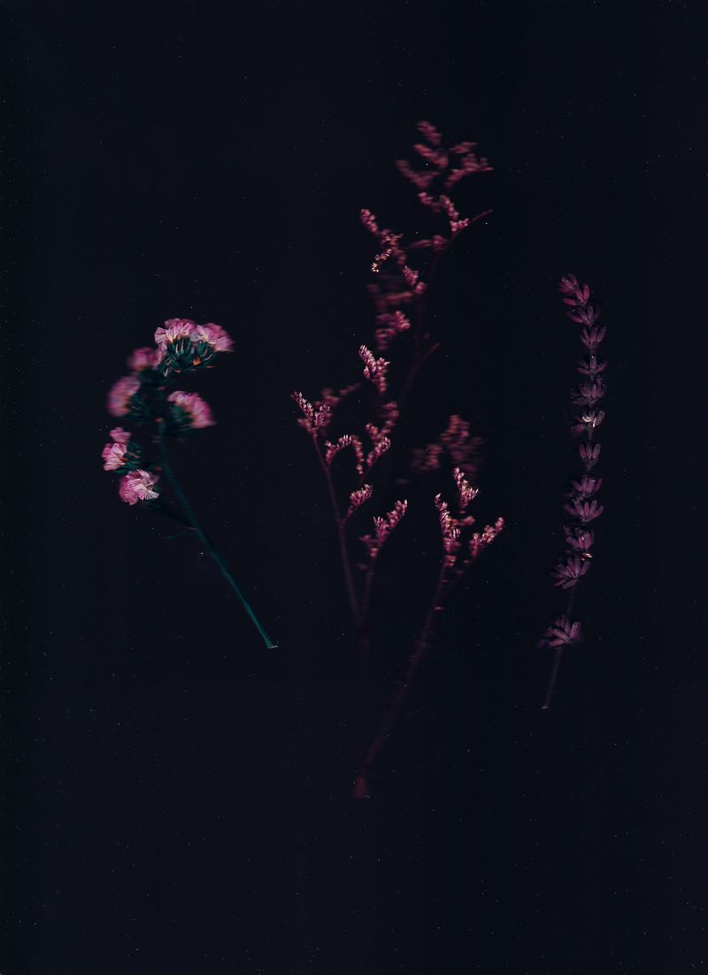THREE ARTIST Photography Exhibition