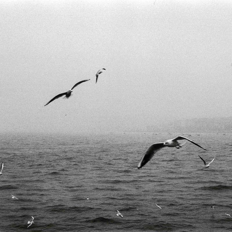 SQUARE Photography Exhibit