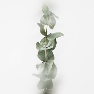 SQUARE Photography Exhibit