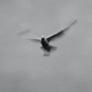 SQUARE PHOTO EXHIBIT