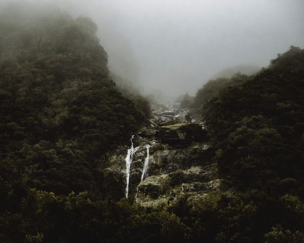 OPEN THEME - GROUP EXHIBITION