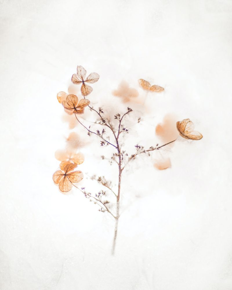 OPEN THEME - GROUP EXHIBITION