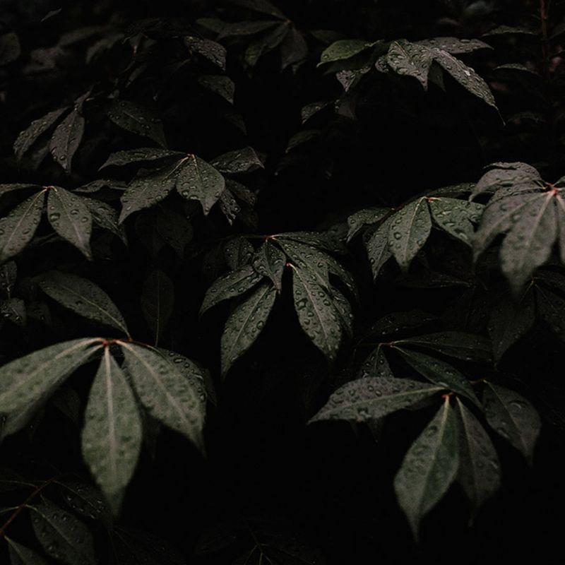 SQUARE - GROUP PHOTO EXHIBIT