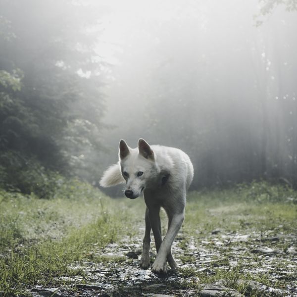 SQUARE - GROUP PHOTO EXHIBIT