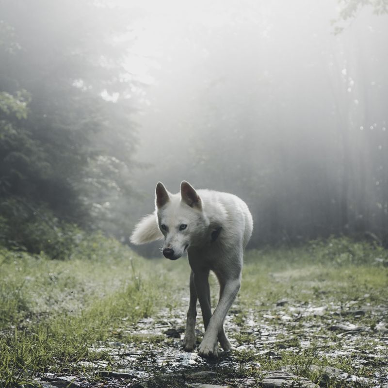 SQUARE - GROUP PHOTO EXHIBIT