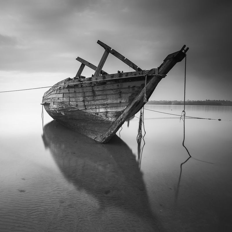 SQUARE - GROUP PHOTO EXHIBIT