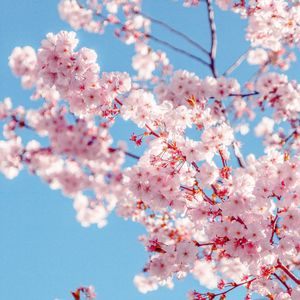 SQUARE - GROUP PHOTO EXHIBIT