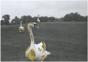 The swans raised on the crumbs of a golden loaf