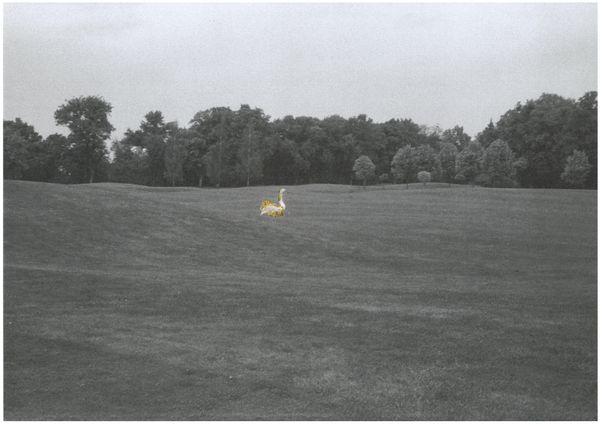 © Daria Senchikhina - Image from the The swans raised on the crumbs of a golden loaf photography project