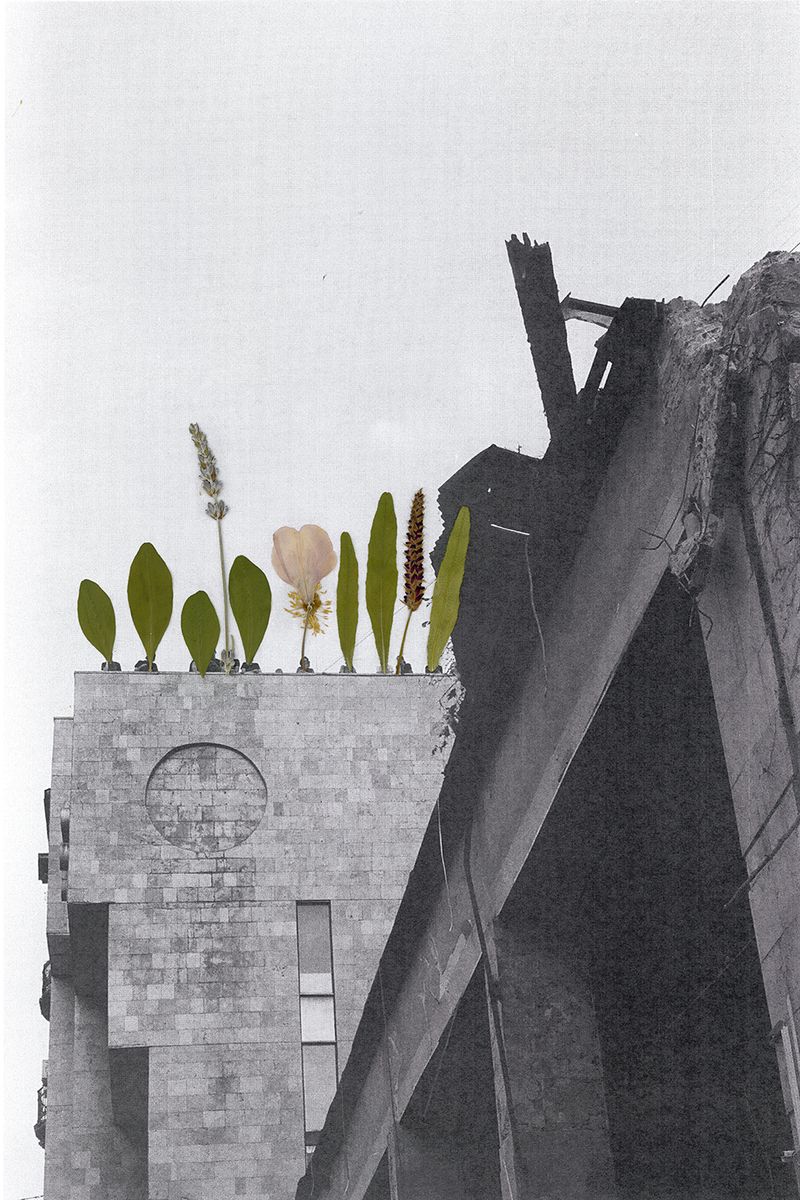 © Daria Senchikhina - Image from the Kvity Ukrainy photography project