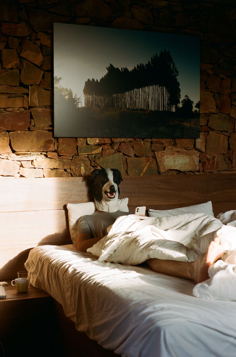 © Daria Senchikhina - Image from the Doggo photography project