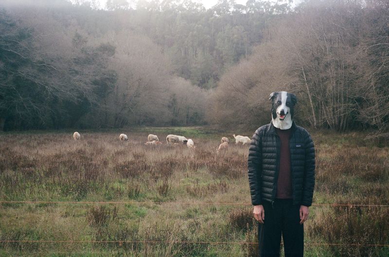 © Daria Senchikhina - Image from the Doggo photography project