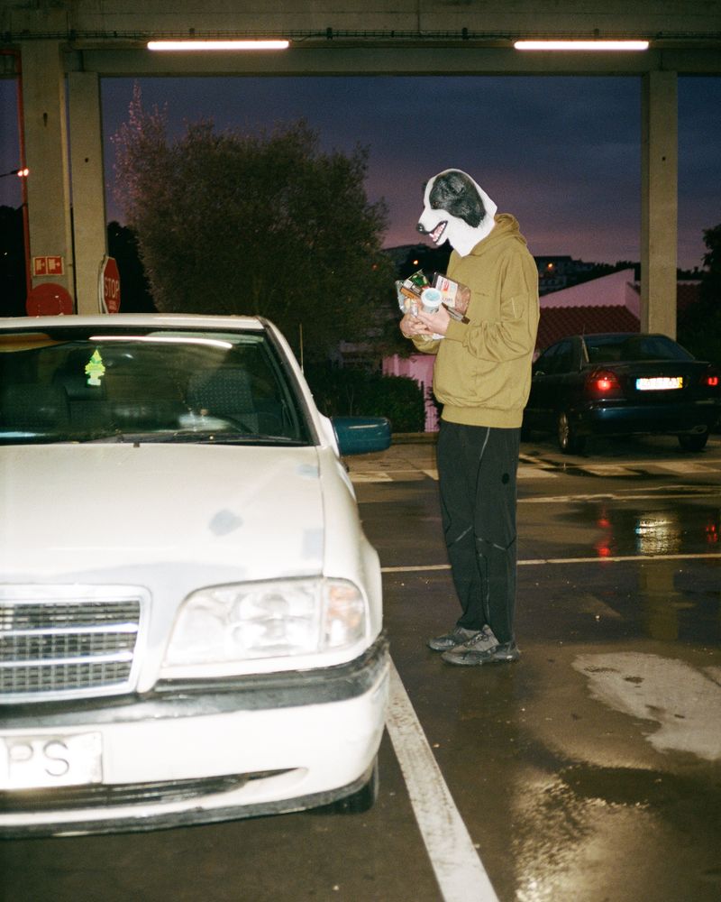 © Daria Senchikhina - Image from the Doggo photography project