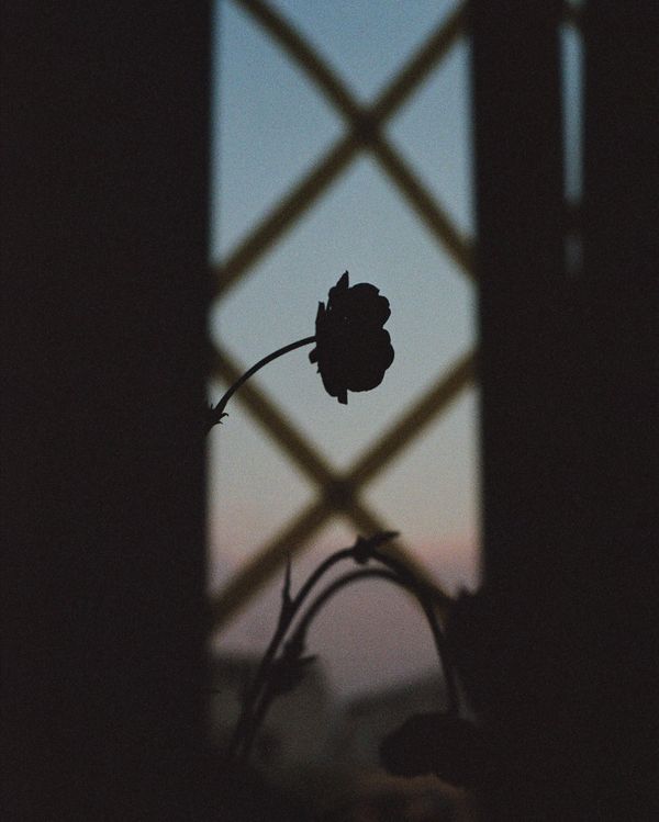 © Daria Senchikhina - Image from the A life through the lens of war photography project