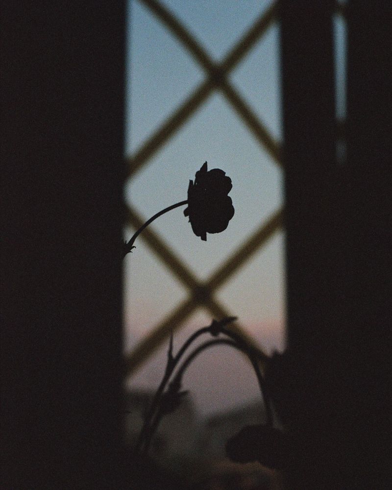 © Daria Senchikhina - Image from the A life through the lens of war photography project