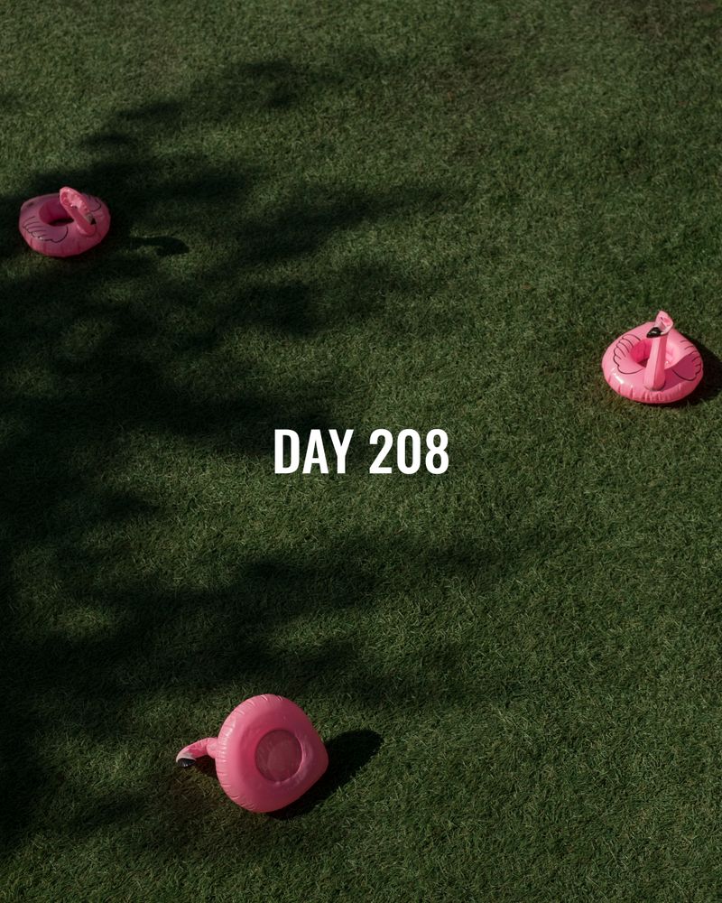 © Daria Senchikhina - Image from the Summer Days photography project