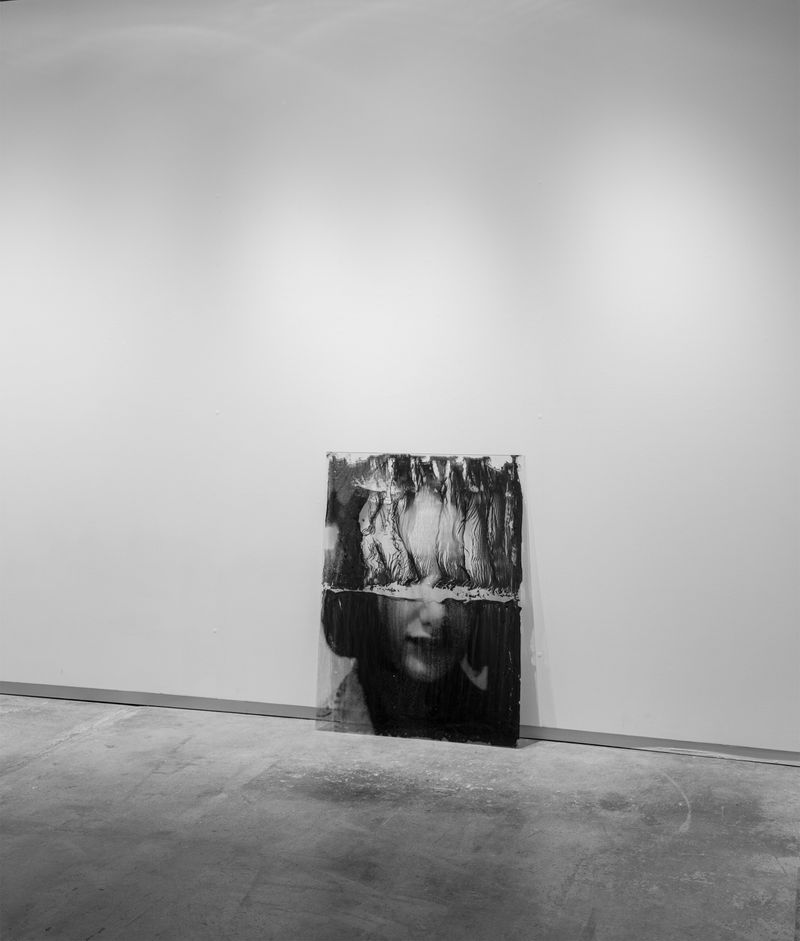 © Mehrdad Mirzaie - Installation View from "Garden" Series