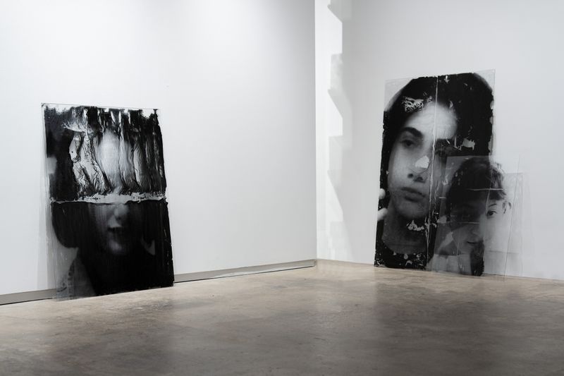 © Mehrdad Mirzaie - Installation View from "Garden" Series