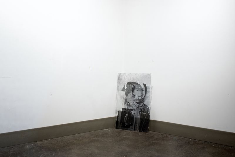 © Mehrdad Mirzaie - Installation View from "Garden" Series