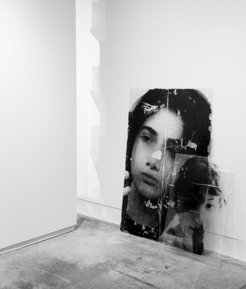 © Mehrdad Mirzaie - Installation View from "Garden" Series