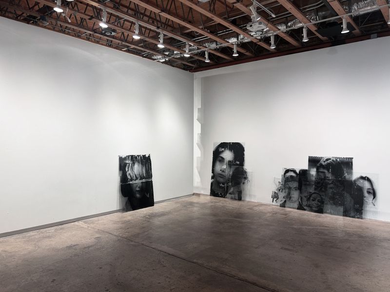 © Mehrdad Mirzaie - Installation View from "Garden" Series