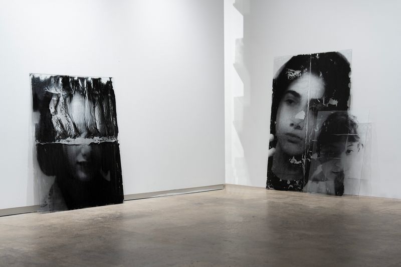 © Mehrdad Mirzaie - Installation View from "Garden" Series