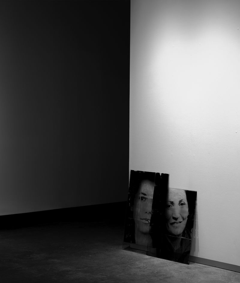 © Mehrdad Mirzaie - Installation View from "Garden" Series