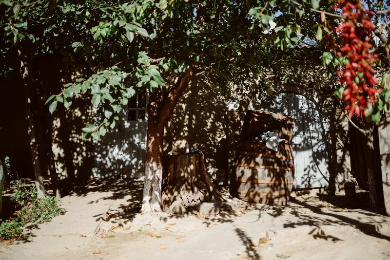 © Mihail Calarașan - Image from the Gagauzlar: Tülü Küü photography project