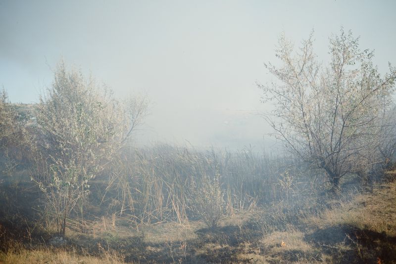 © Mihail Calarașan - Image from the Gagauzlar: Tülü Küü photography project