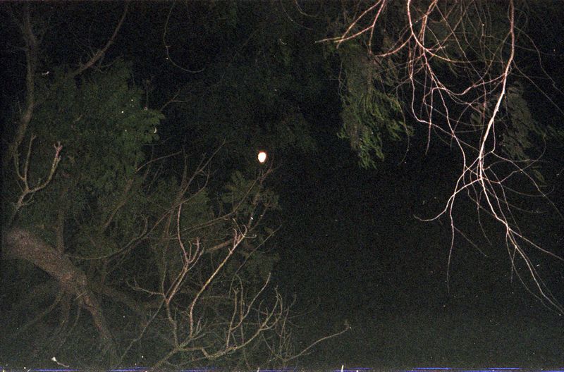 © Paola Jiménez - Image from the Rules for fighting photography project