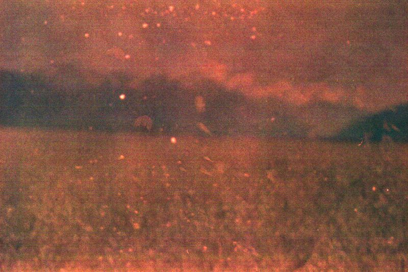 © Paola Jiménez - Image from the Rules for fighting photography project