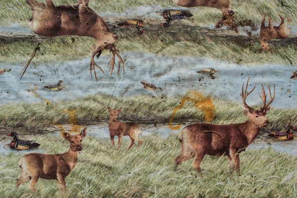 © Tymon Markowski - Image from the Flow photography project