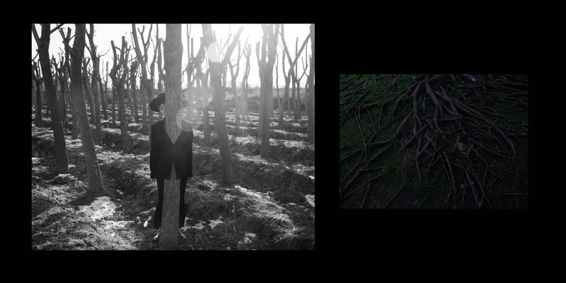 © Guligo Jia - I dress as my dad in the woods.The roots intertwines like my family bonds