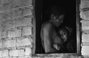 Life at Brazilian Backlands