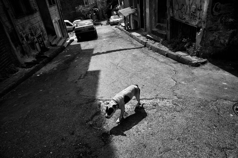 © Jalal Shams Azaran - Image from the About  Turkey photography project