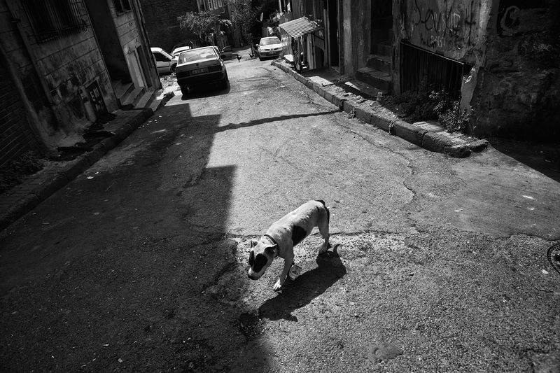 © Jalal Shams Azaran - Image from the About  Turkey photography project