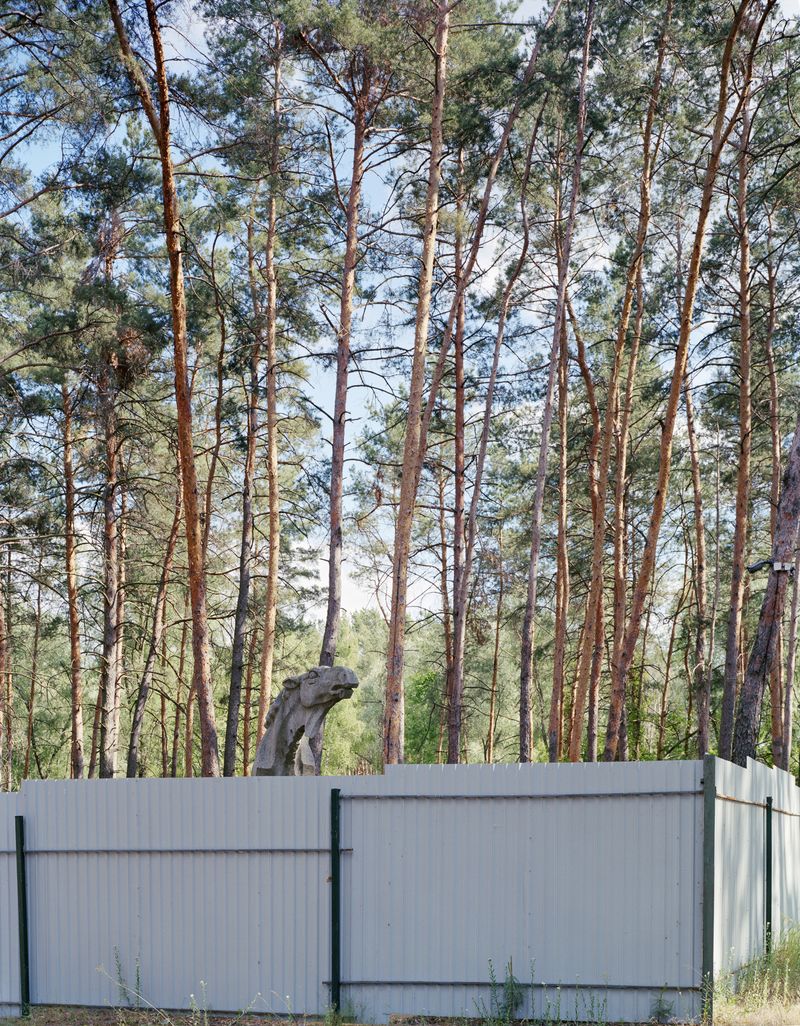© Tatiana Grigorenko - Image from the These Virgin Lands Bring Up New Heroes photography project