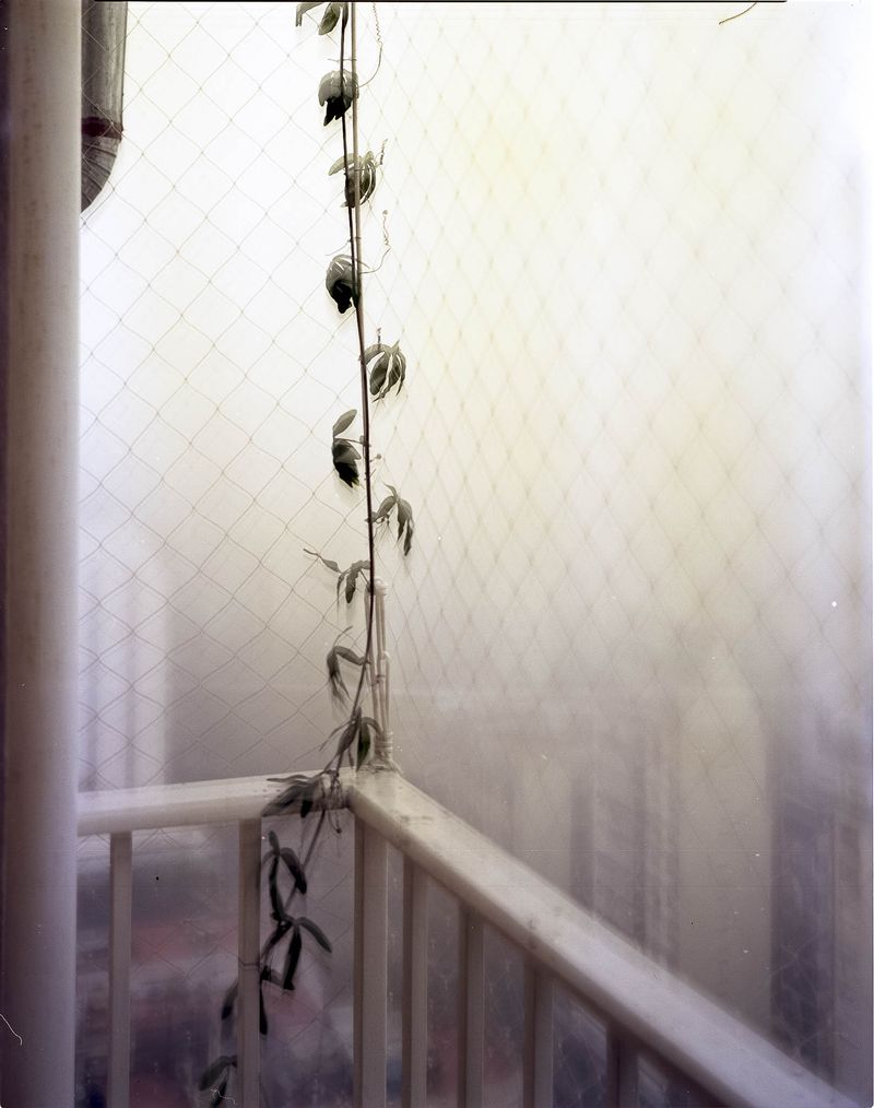 © Erica Canepa - Image from the As if the Sea should part photography project