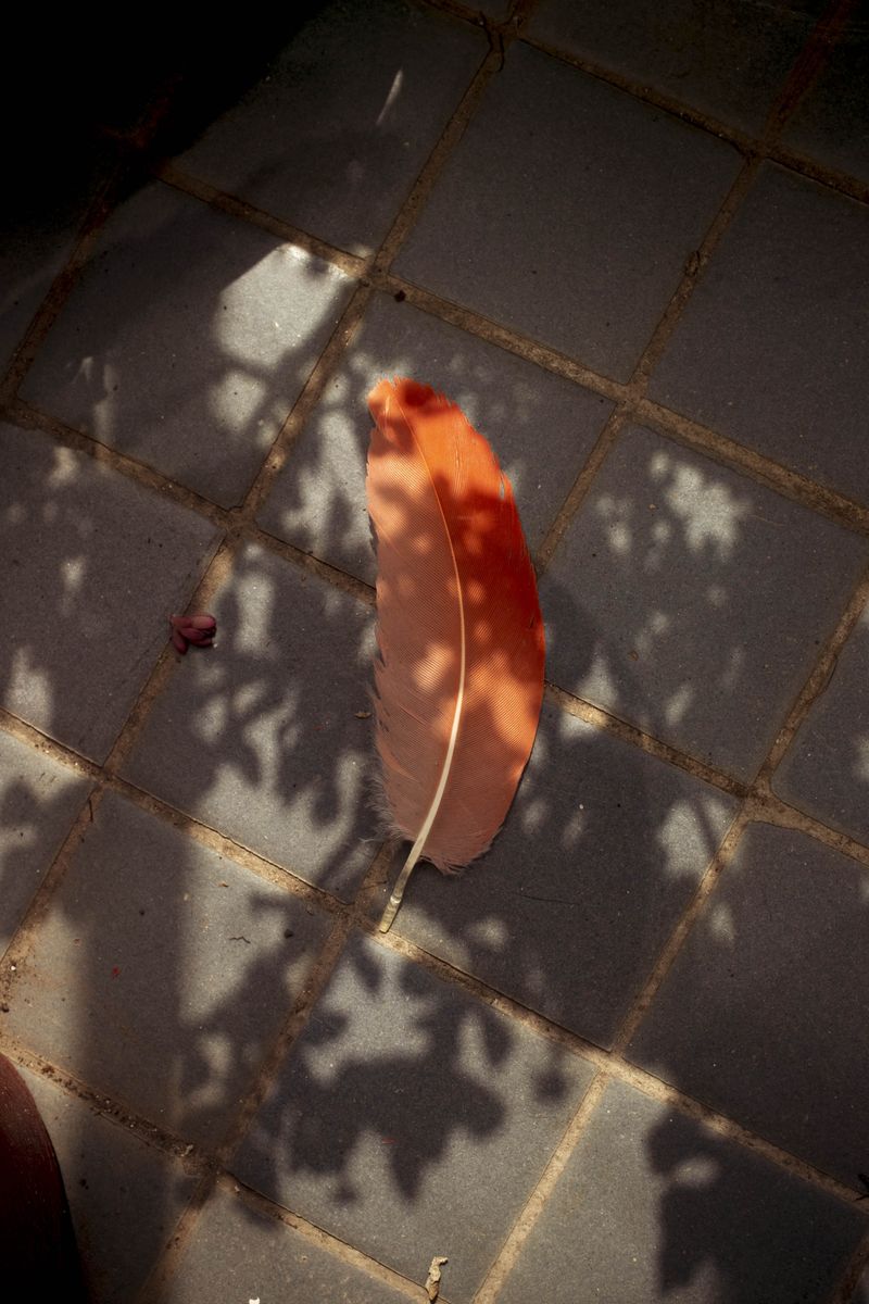 © Erica Canepa - Image from the As if the Sea should part photography project