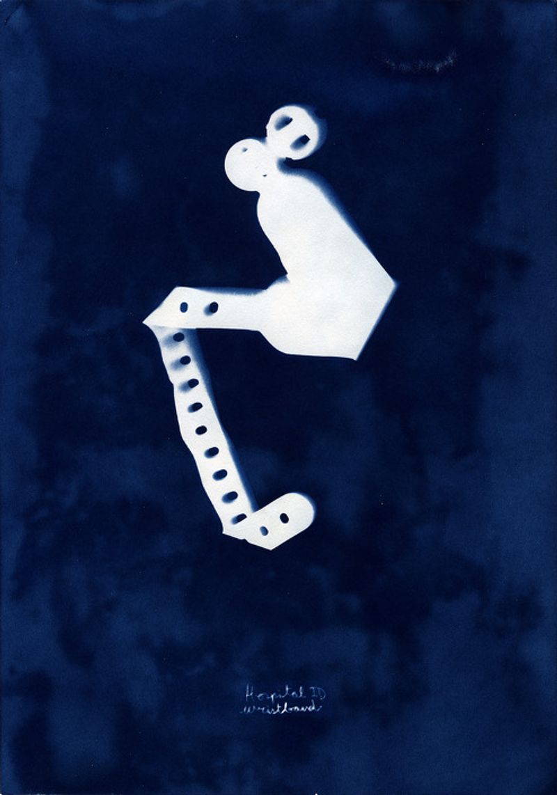 © Sebastian Abugattas - Image from the Shadows in the Wild photography project